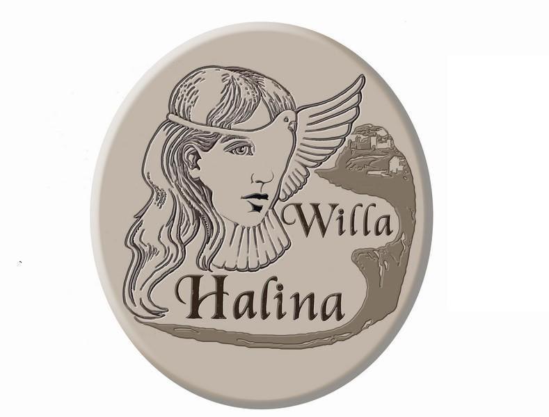 Willa Halina Sandomierz Exterior foto